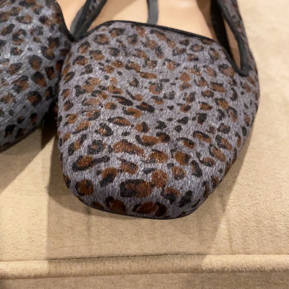 Grey Leopard - Picture 4 of 8